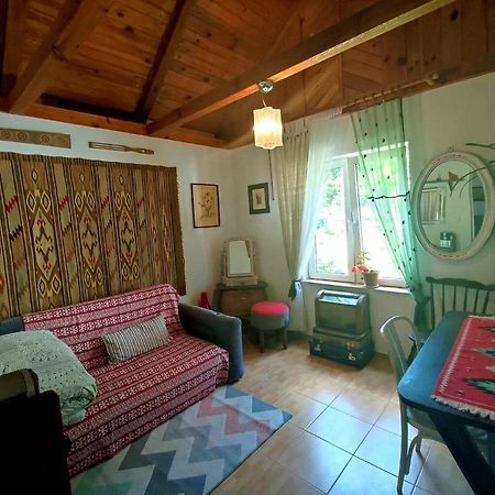 Domek Nad Poranna Rosa Garbatka-Letnisko Экстерьер фото